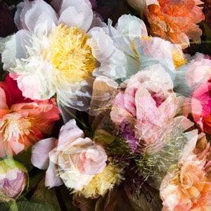 Unpublished: Irene Peña Arranges Vibrant Blooms